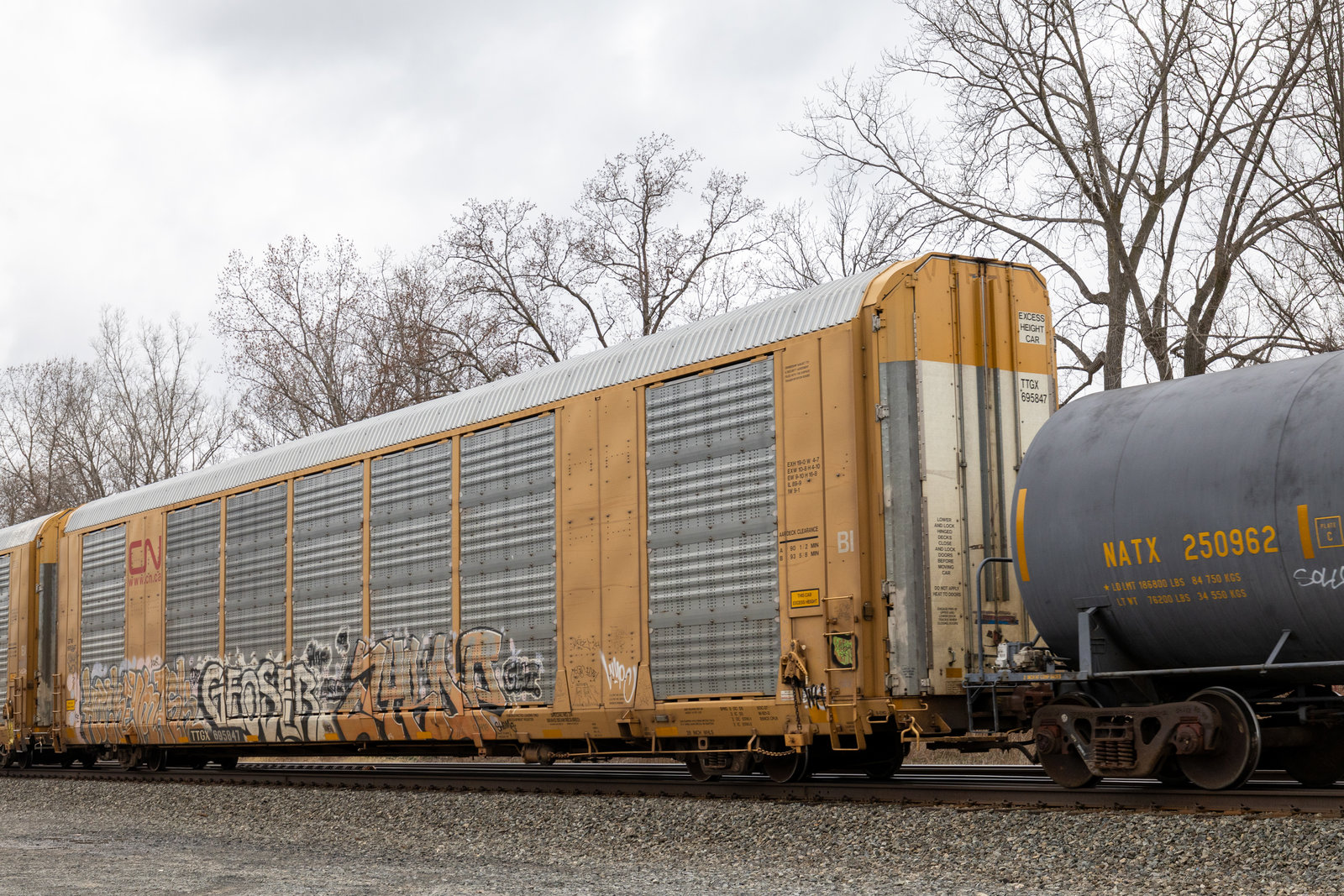 TTGX 695847