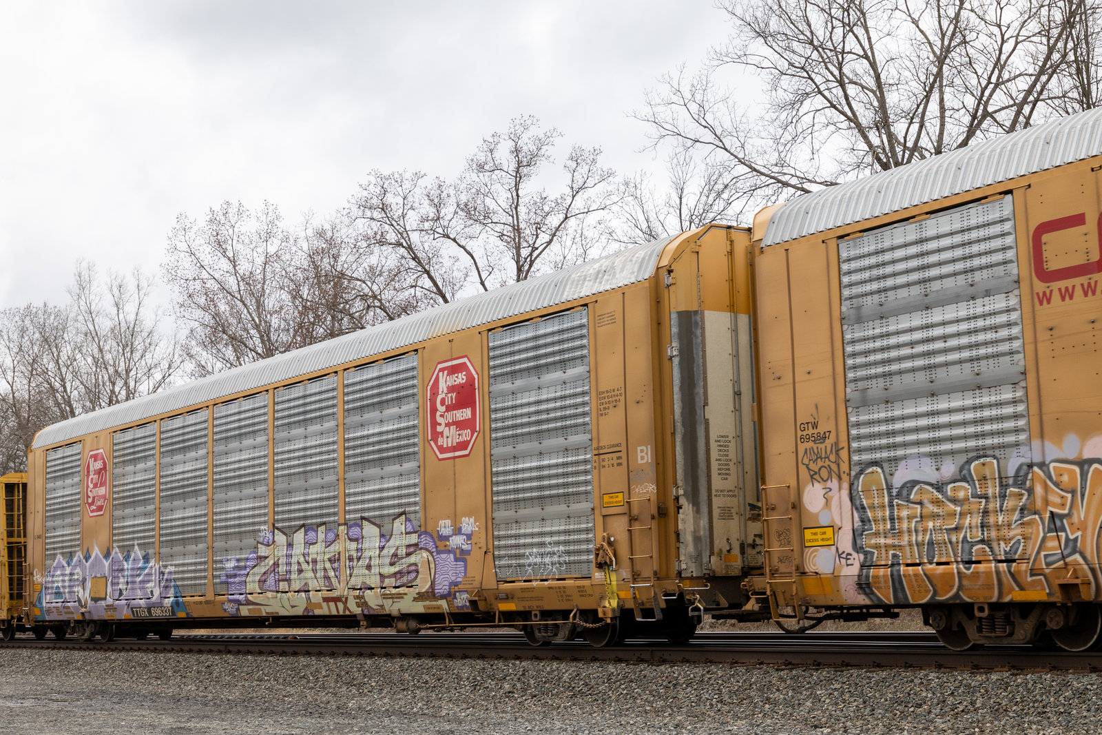 TTGX 696337