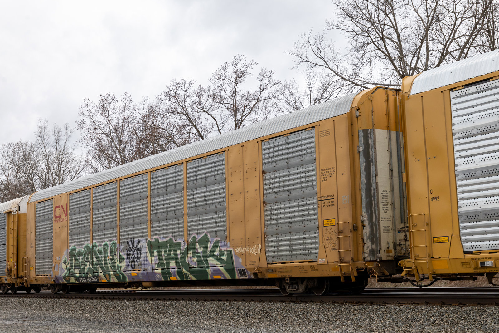 TTGX 695891
