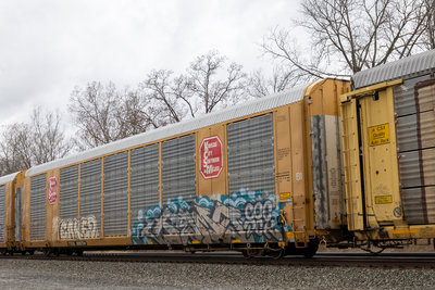TTGX 695734