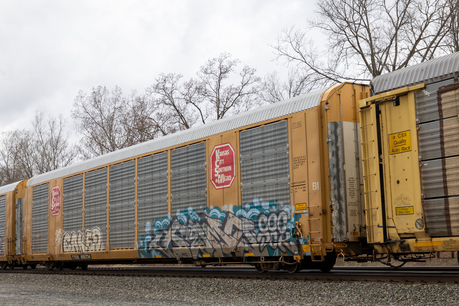 TTGX 695734
