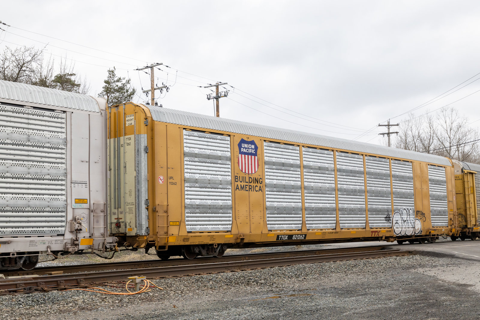 TTGX 821262