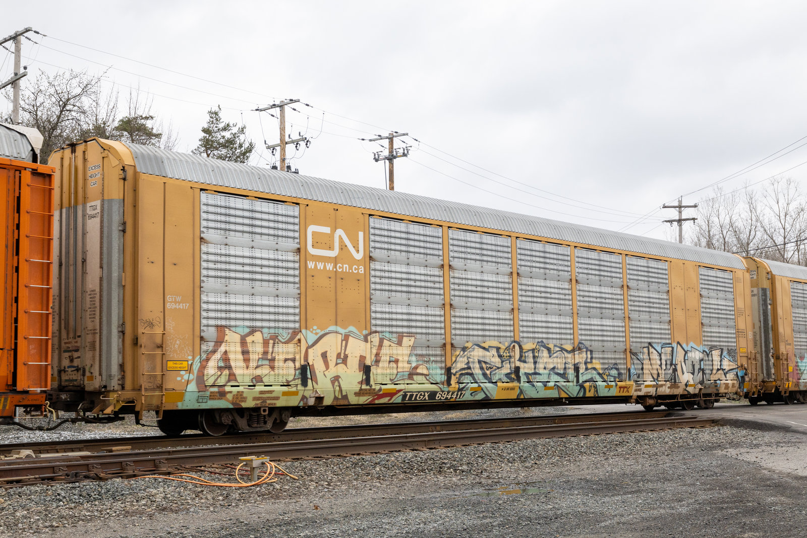 TTGX 694417