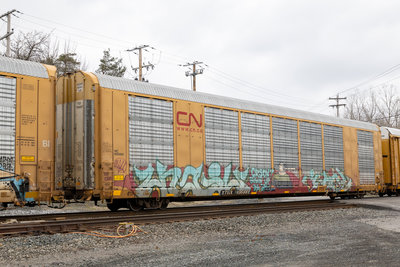 TTGX 696881