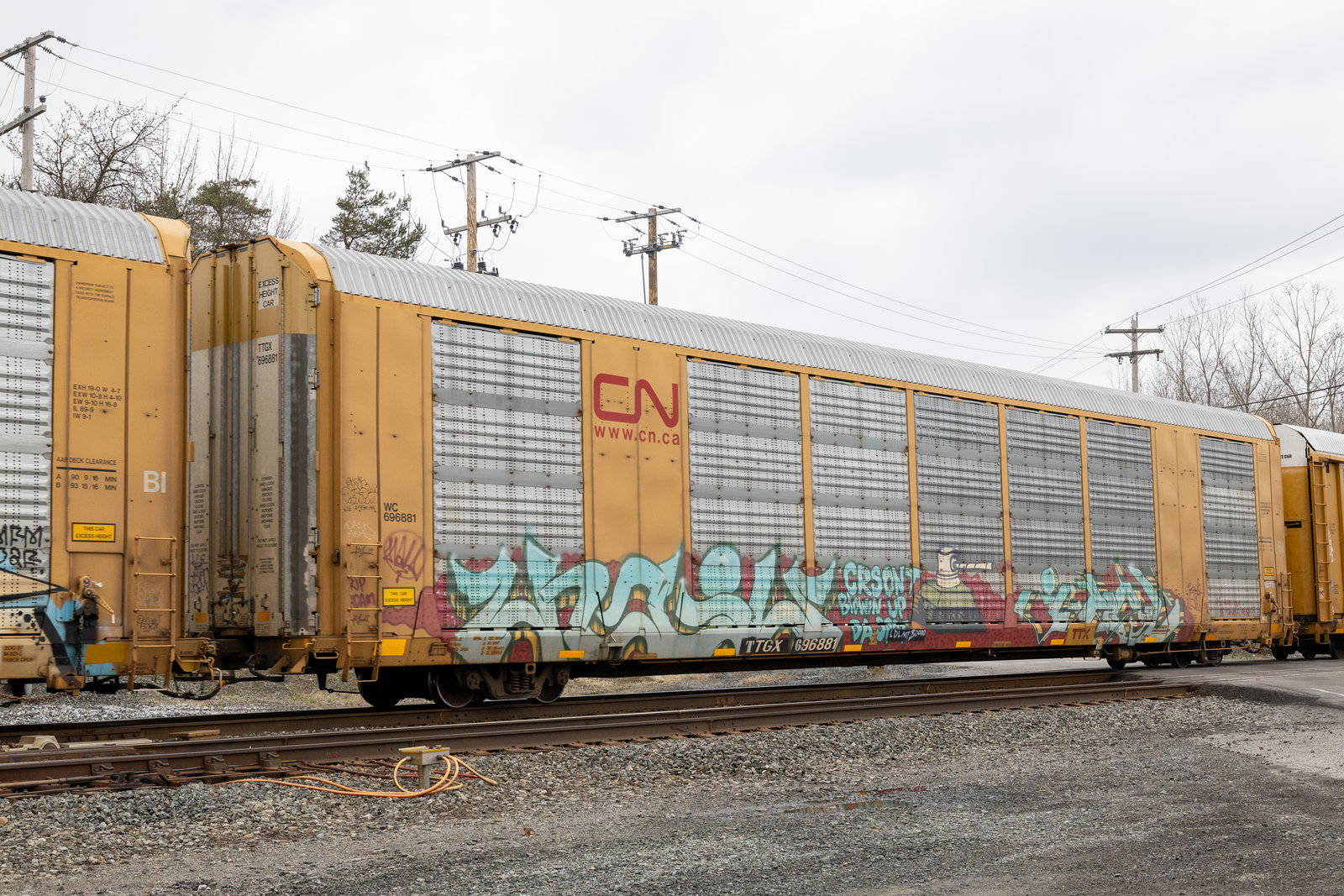 TTGX 696881