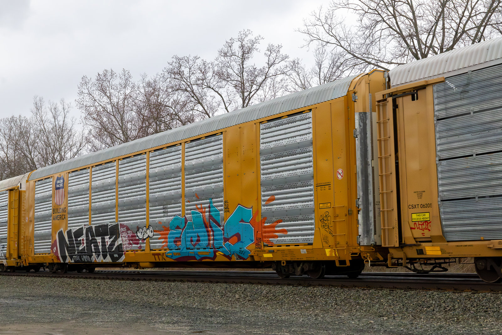 TTGX 698918