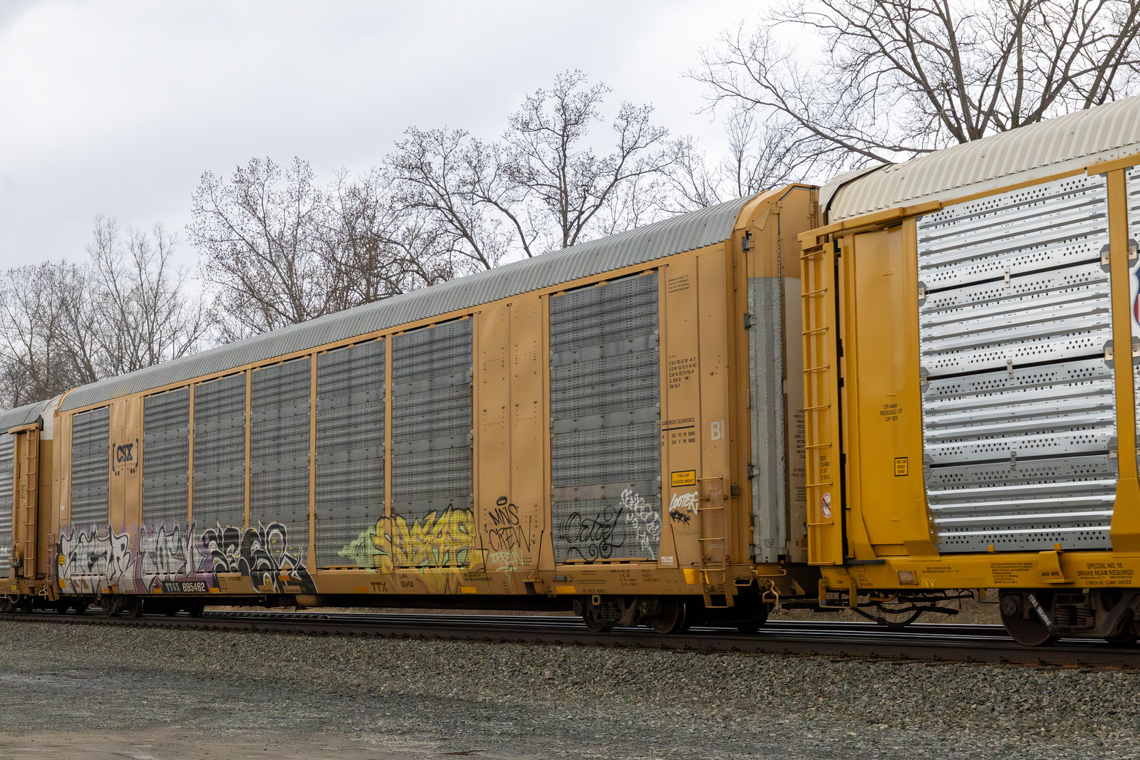 TTGX 695462