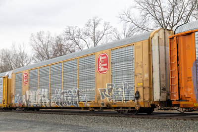 TTGX 691163