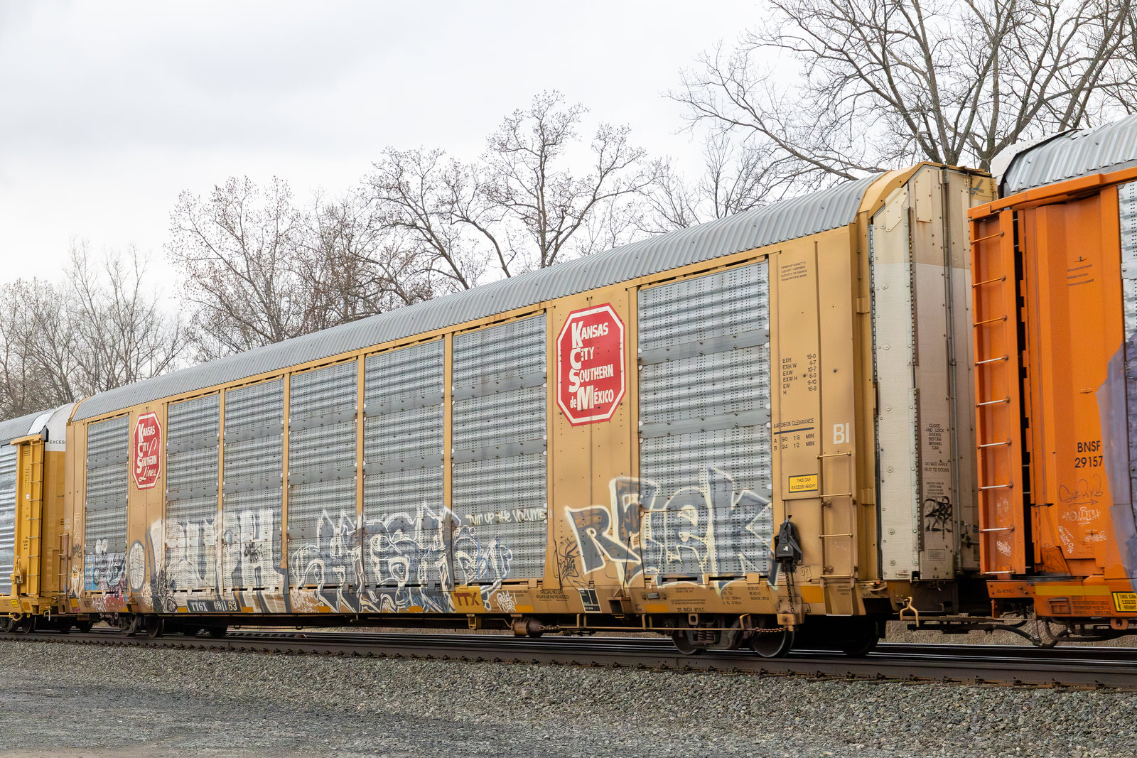 TTGX 691163