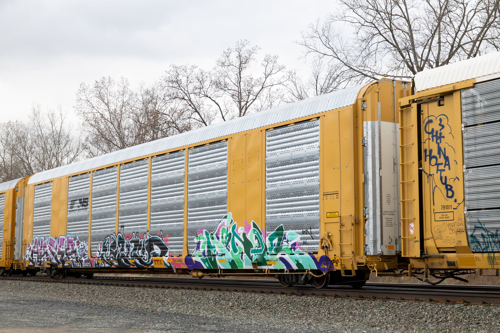 TTGX 824213