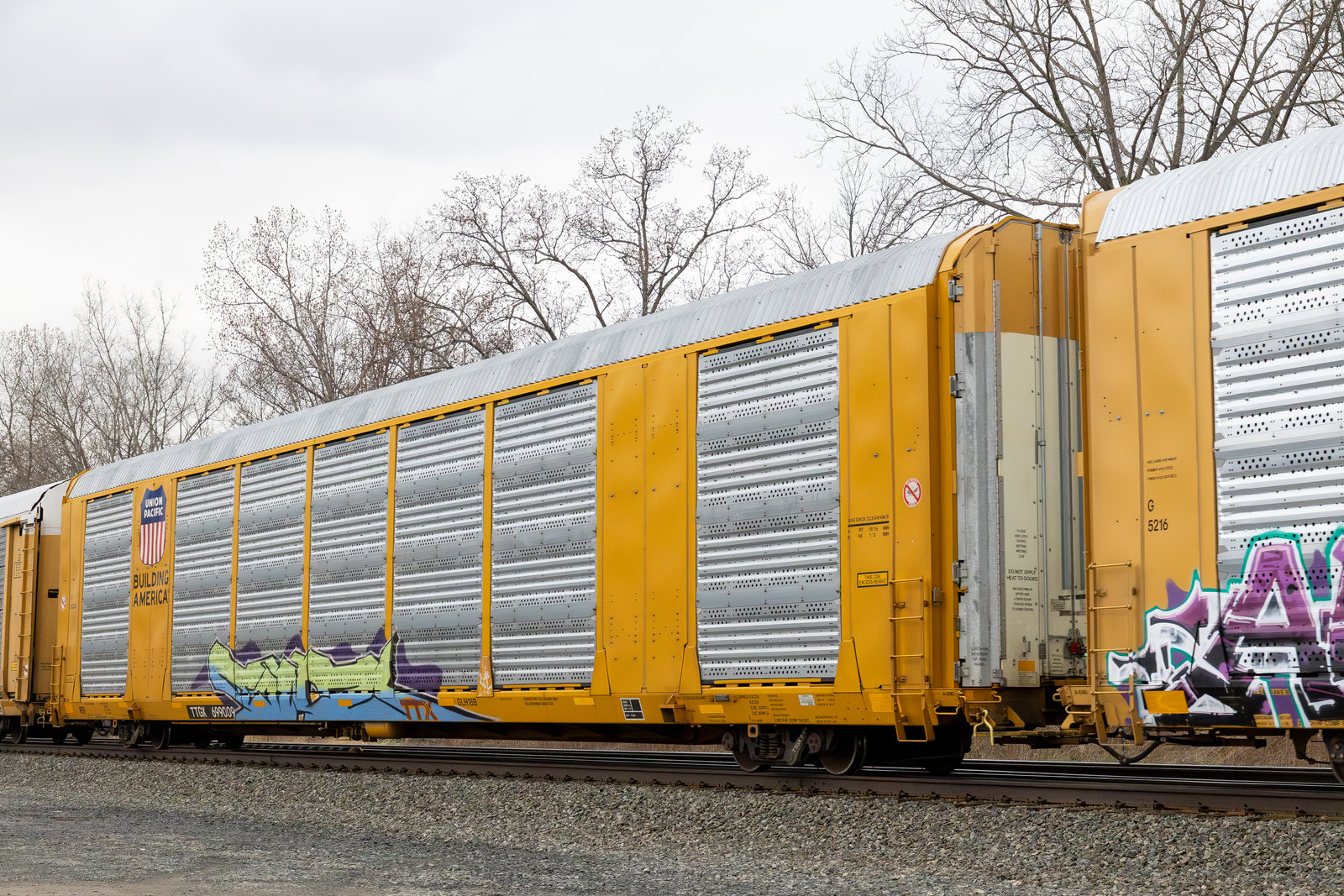 TTGX 699009