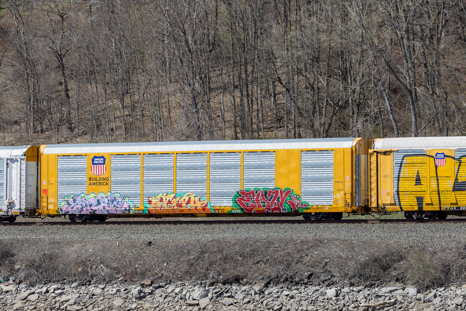 TTGX 698949