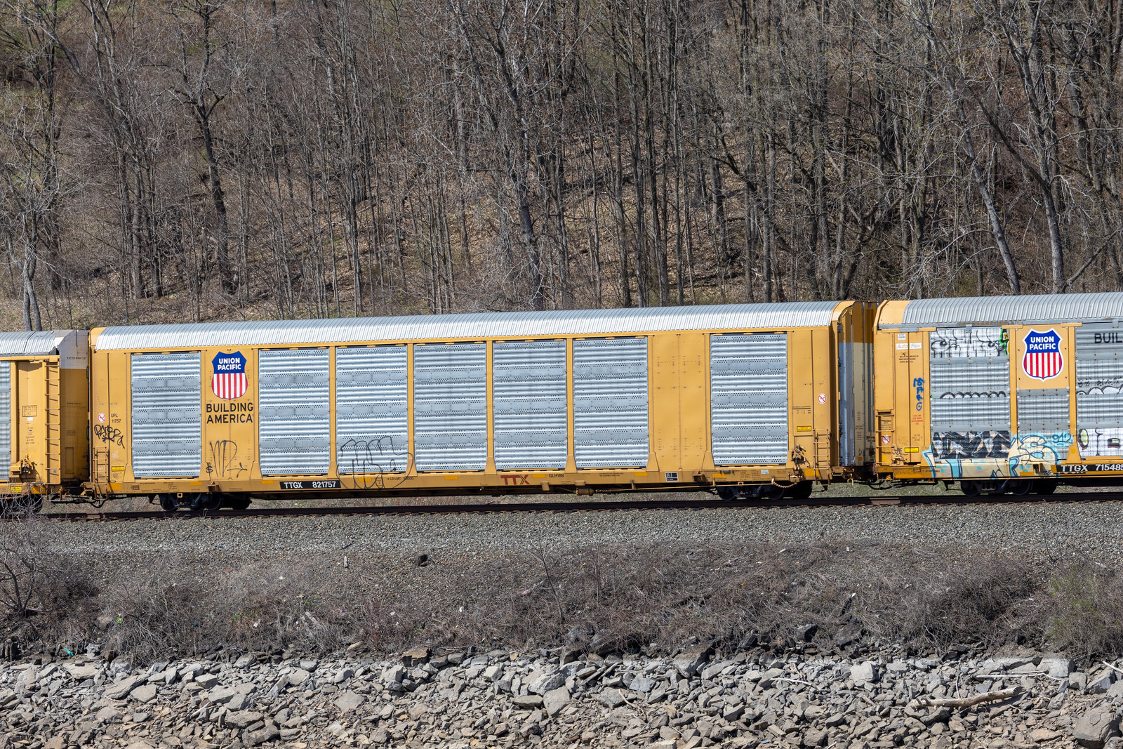 TTGX 821757