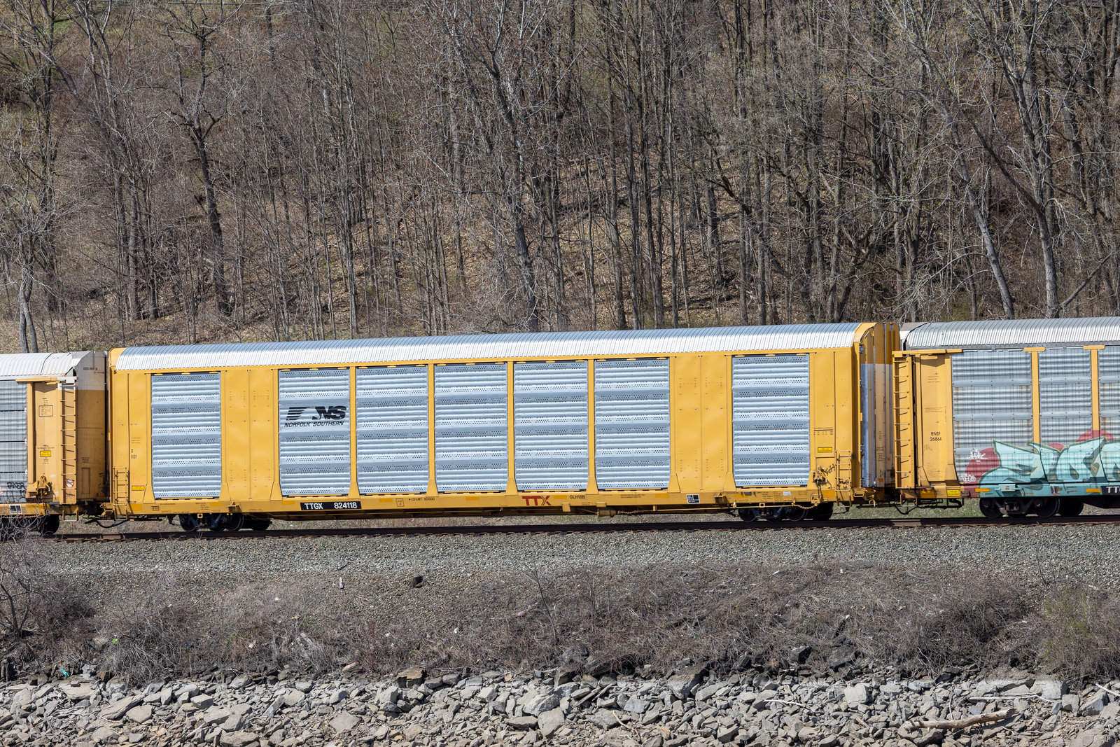 TTGX 824118