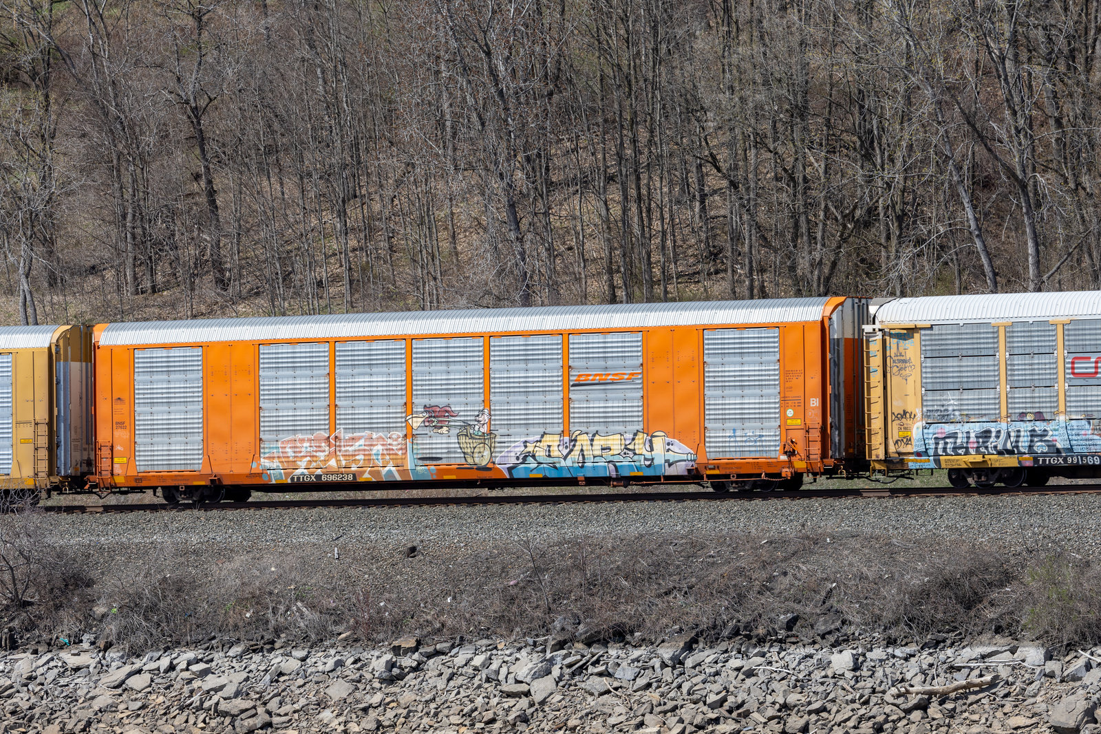 TTGX 696238