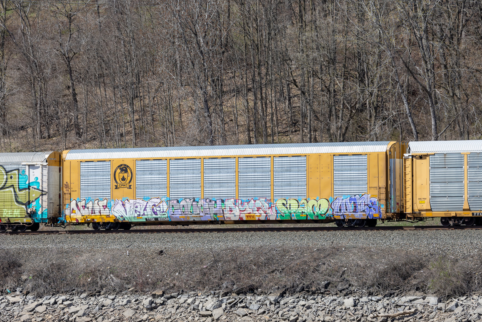 TTGX 822589