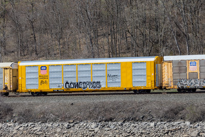 TTGX 823203