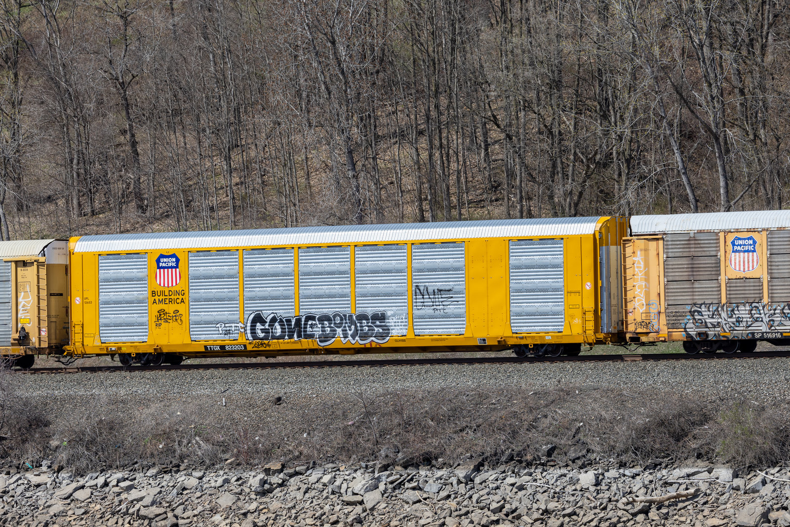 TTGX 823203