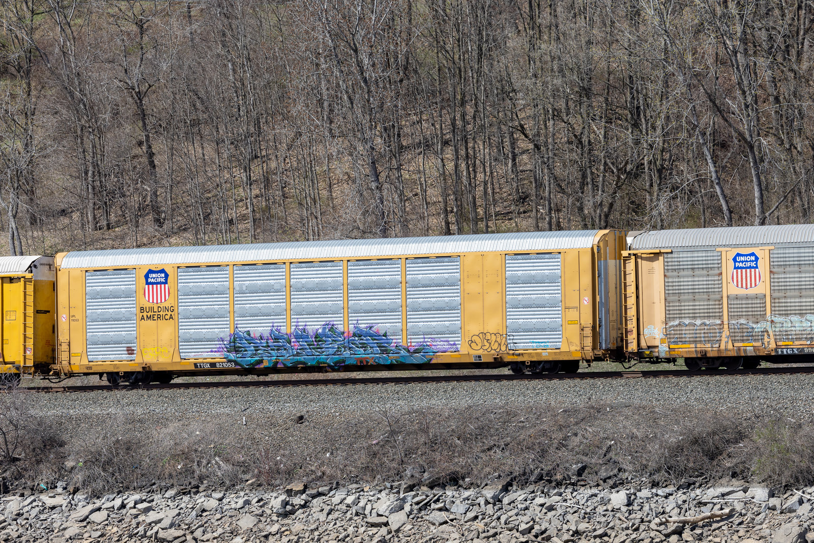 TTGX 821053