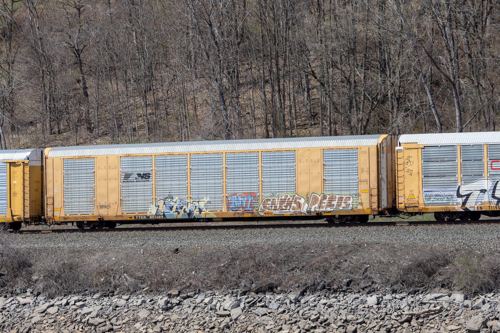 TTGX 691489