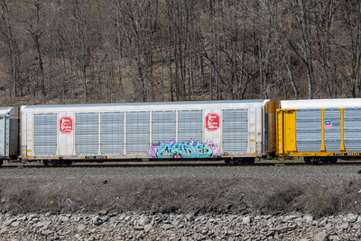 TTGX 697219