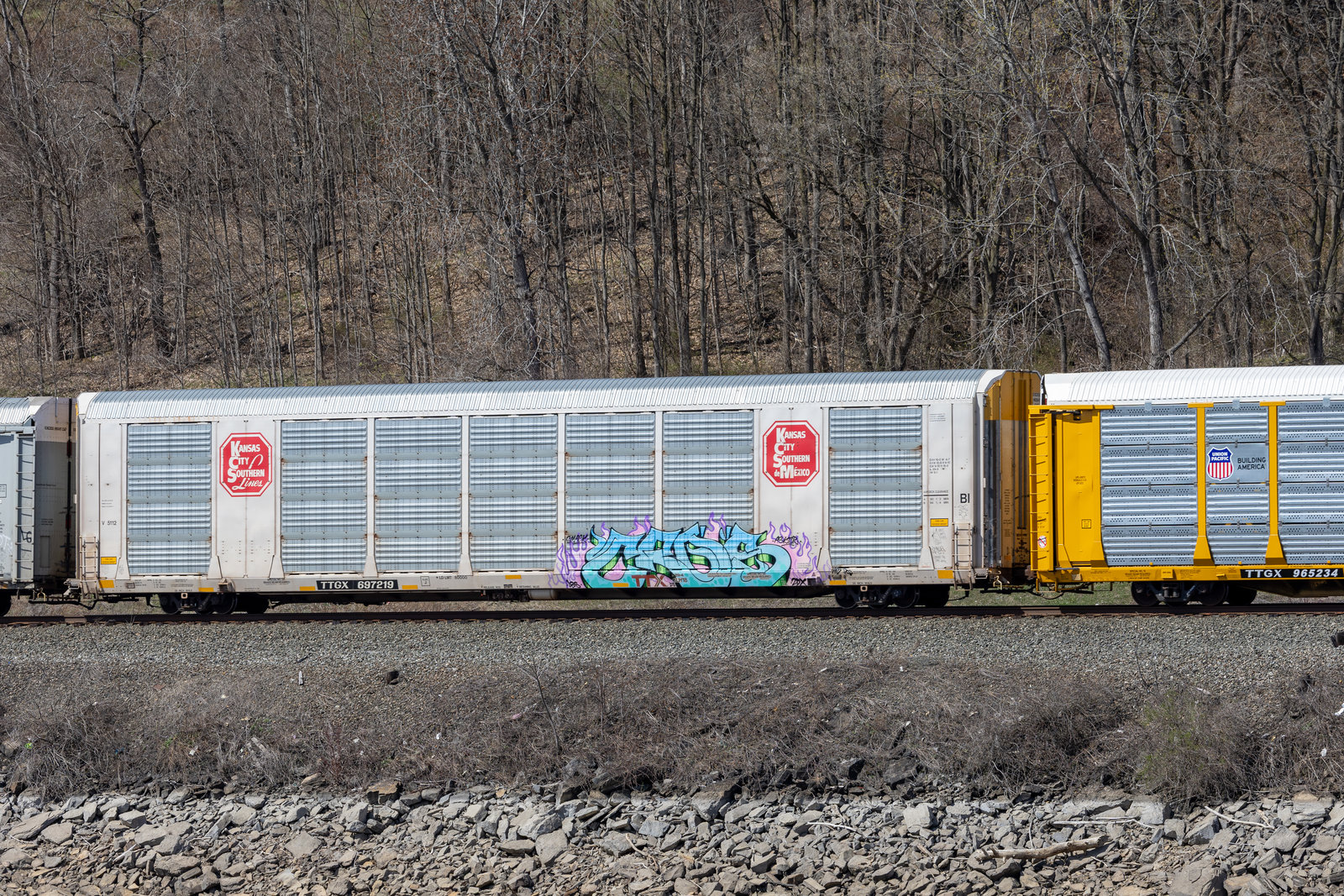 TTGX 697219