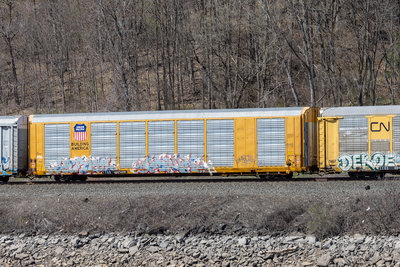 TTGX 697428