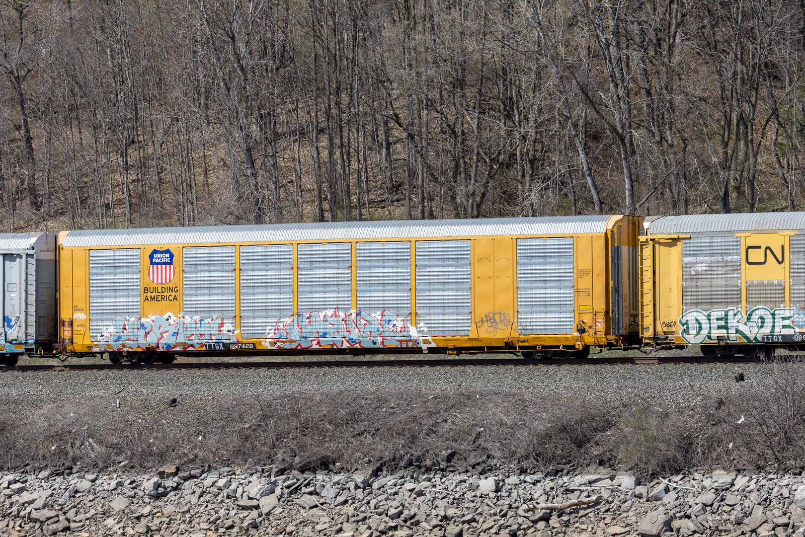 TTGX 697428