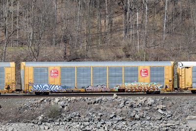 TTGX 696273