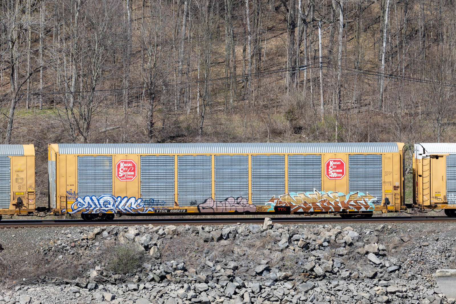 TTGX 696273