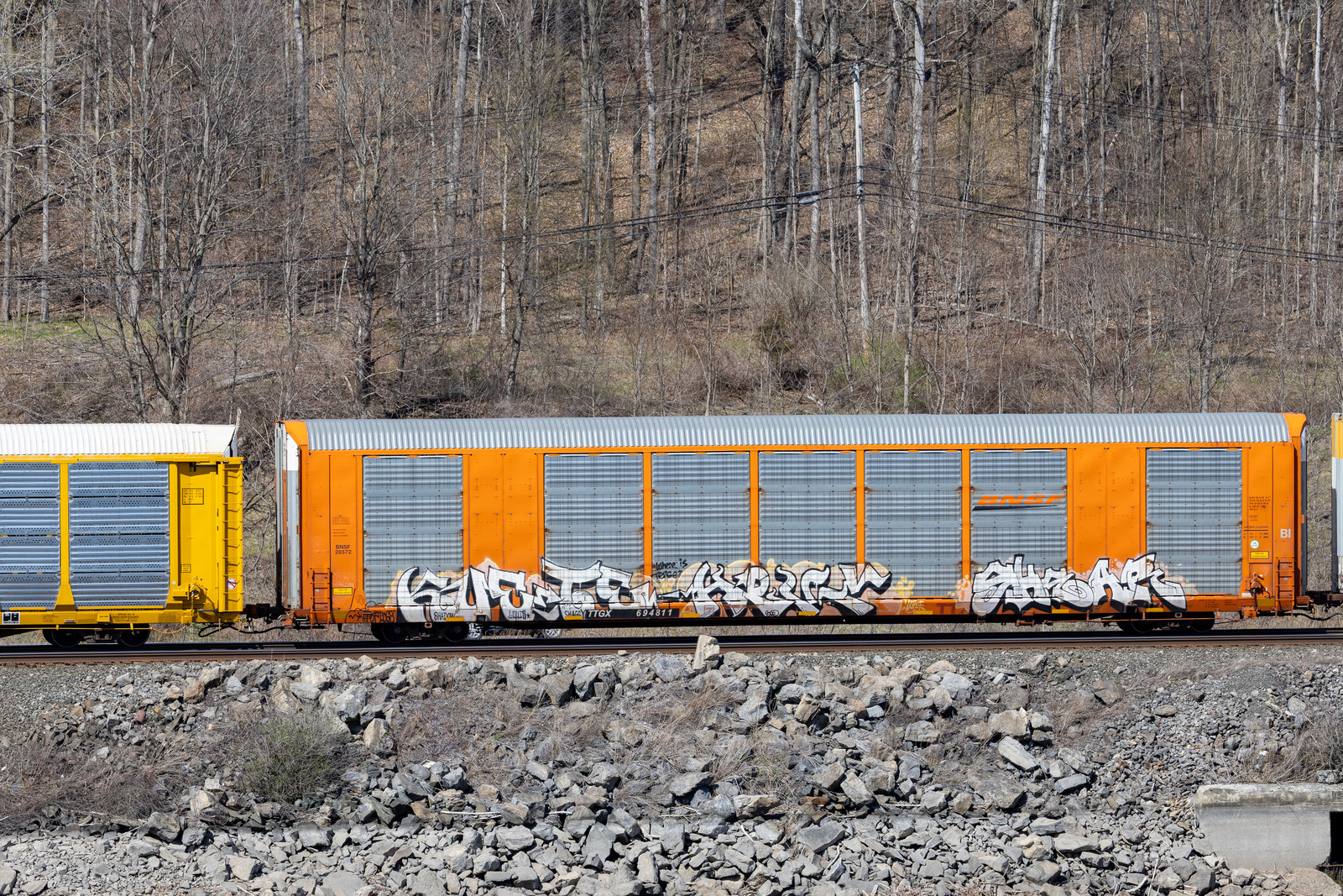 TTGX 694811