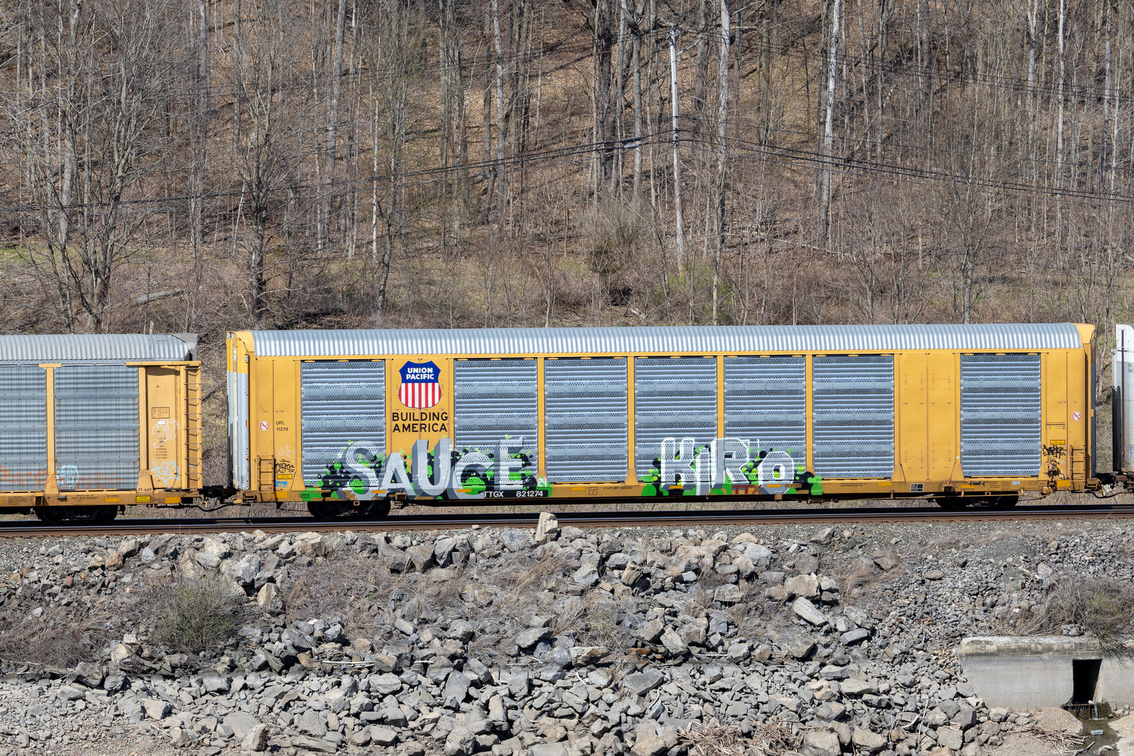 TTGX 821274