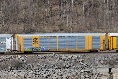 TTGX 822538