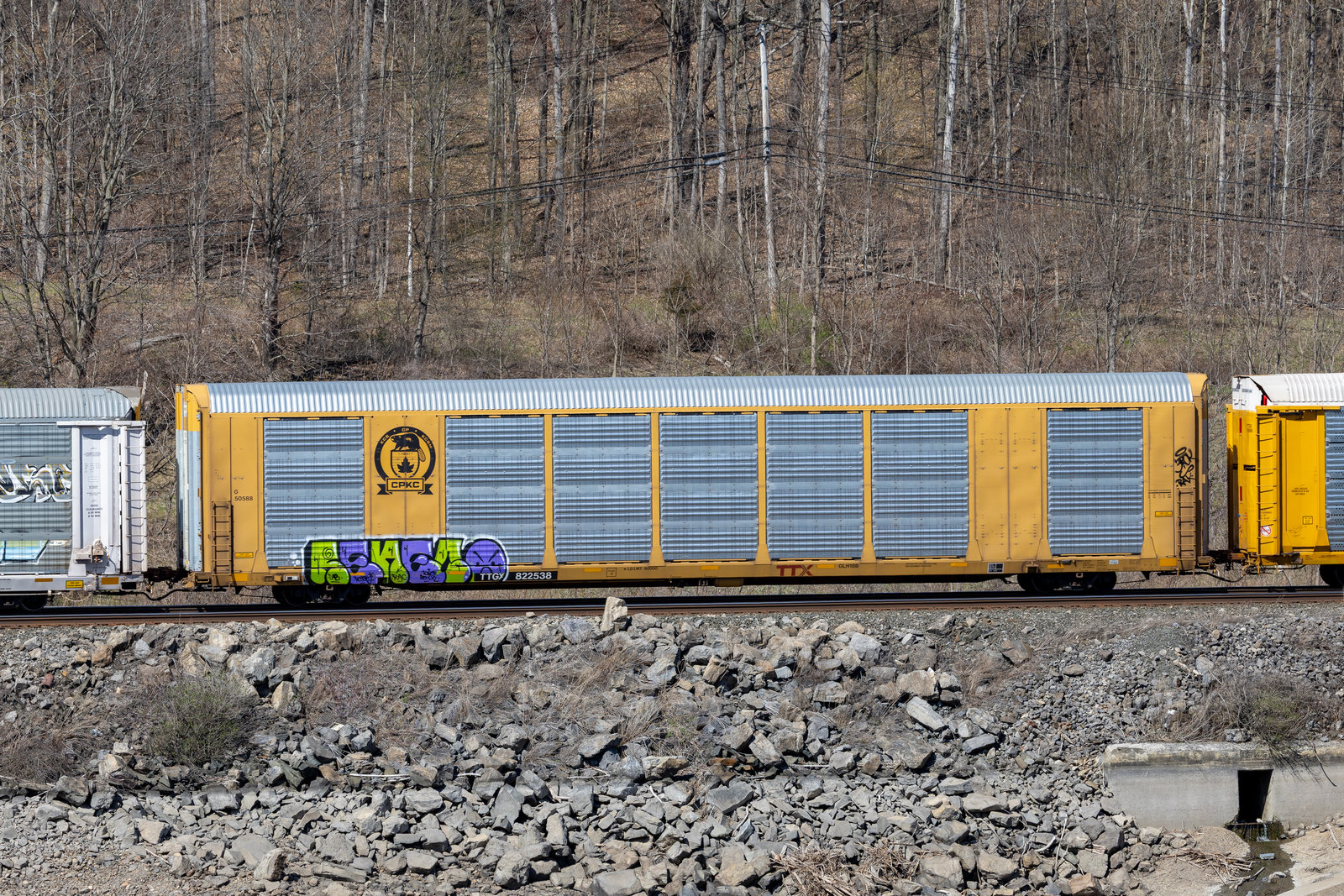 TTGX 822538