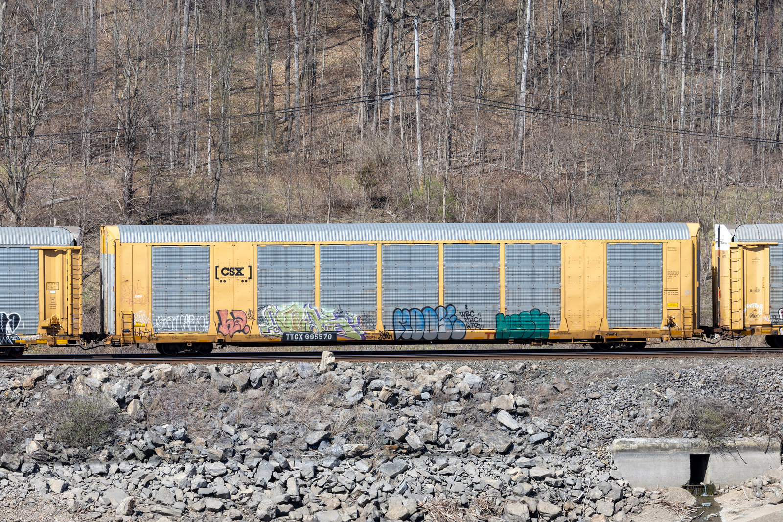 TTGX 695570