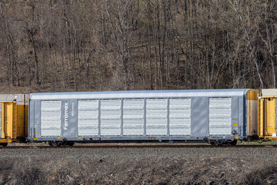 TTGX 824819