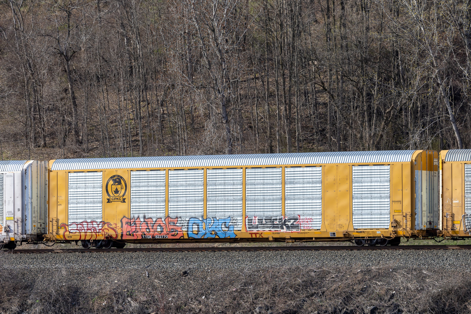 TTGX 822770