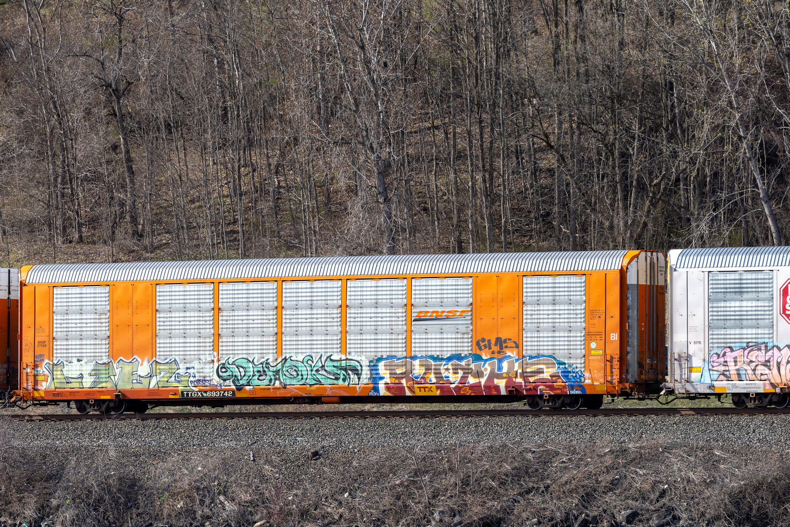 TTGX 693742