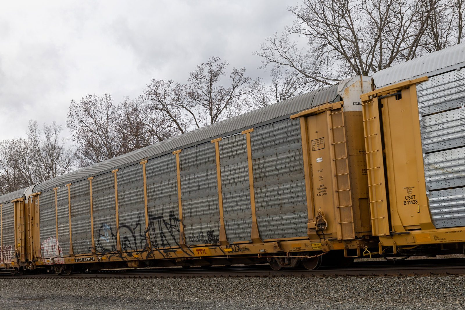 TTGX 983154