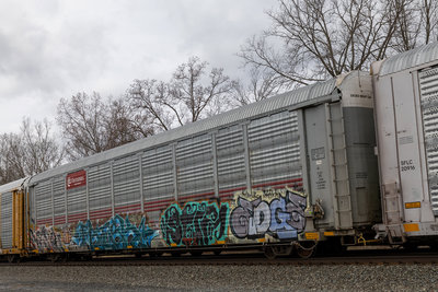 TTGX 953910