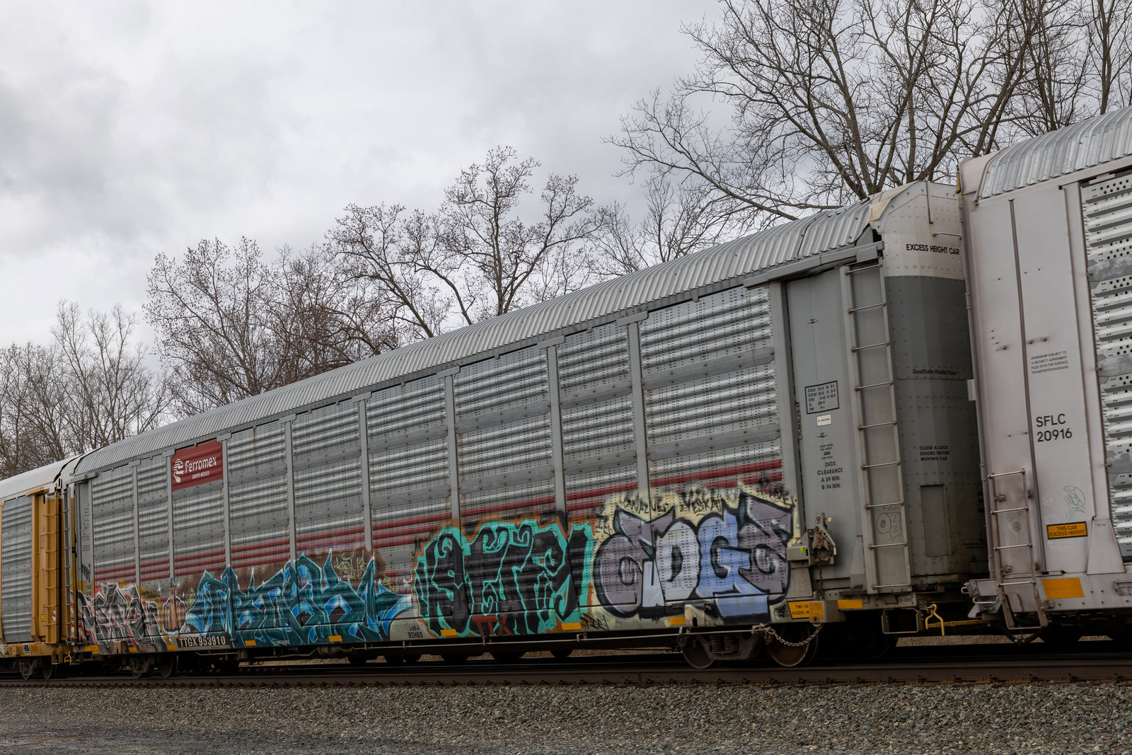 TTGX 953910