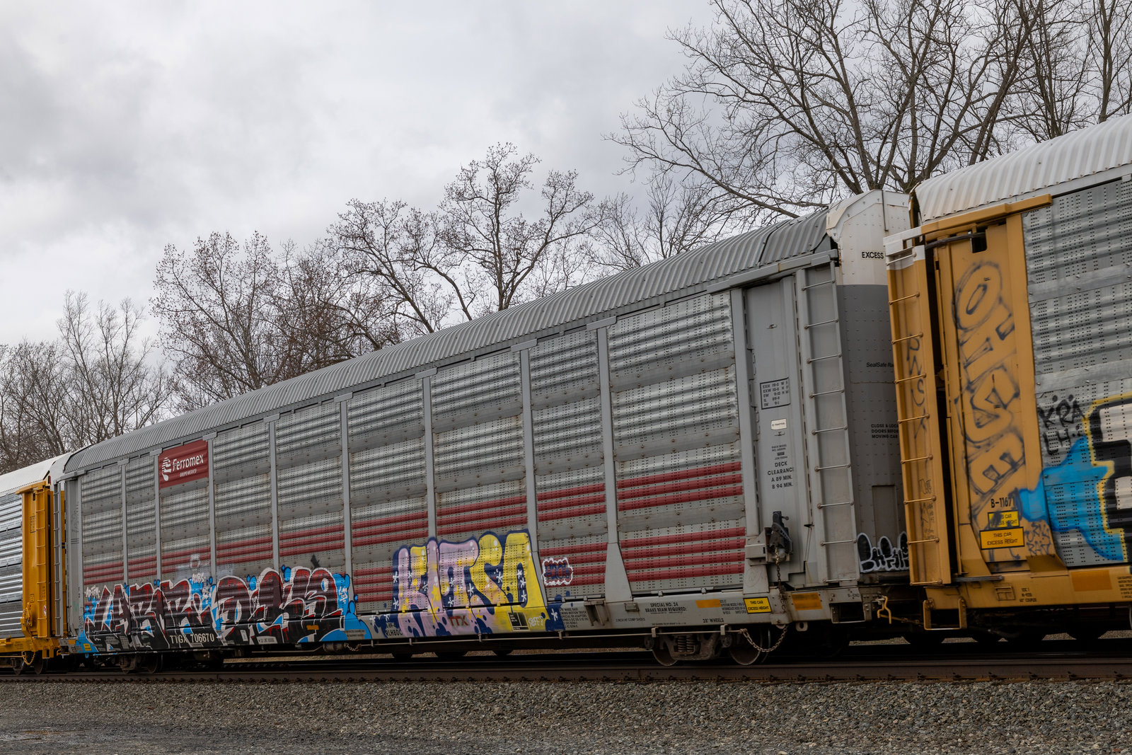 TTGX 706670