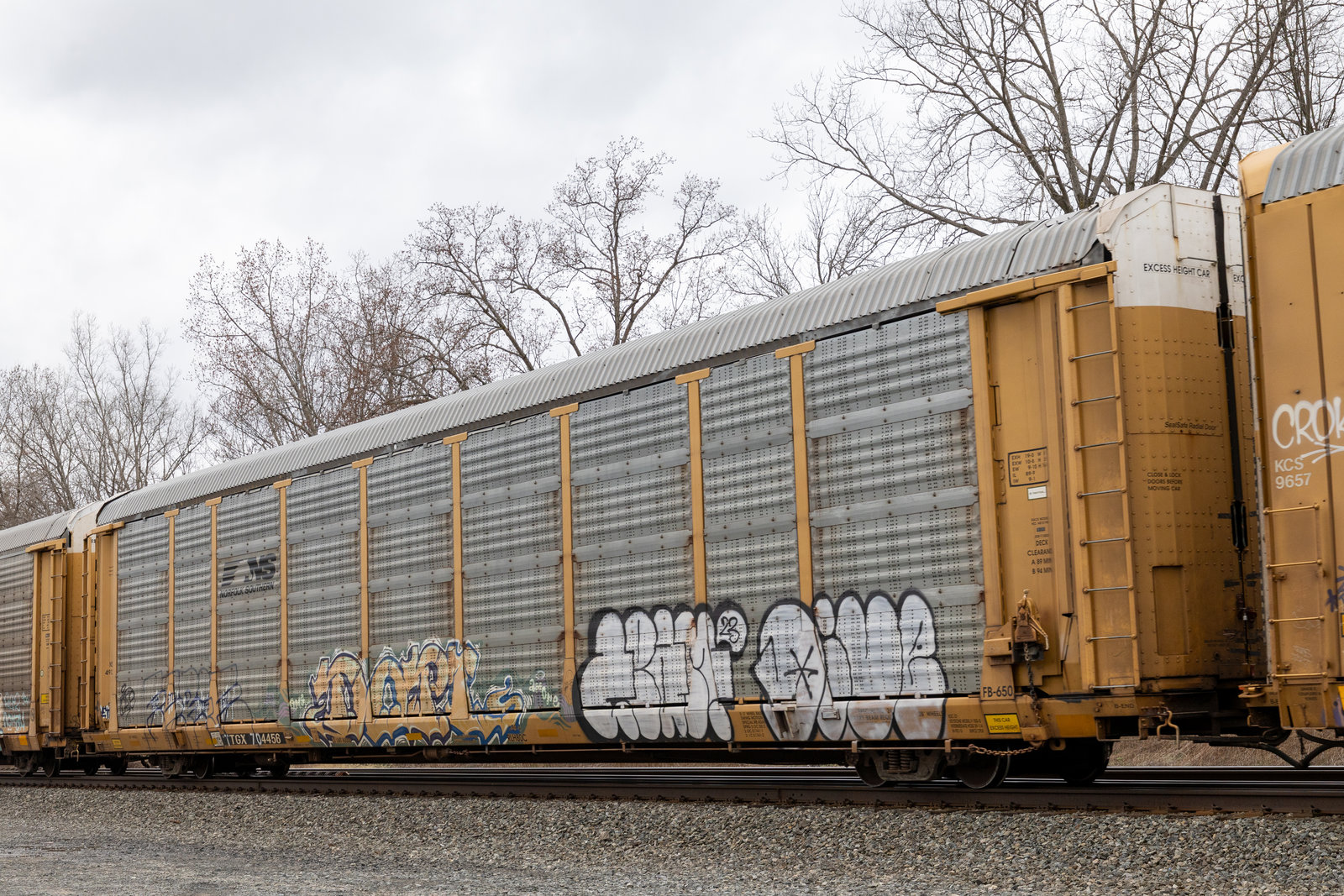 TTGX 704456