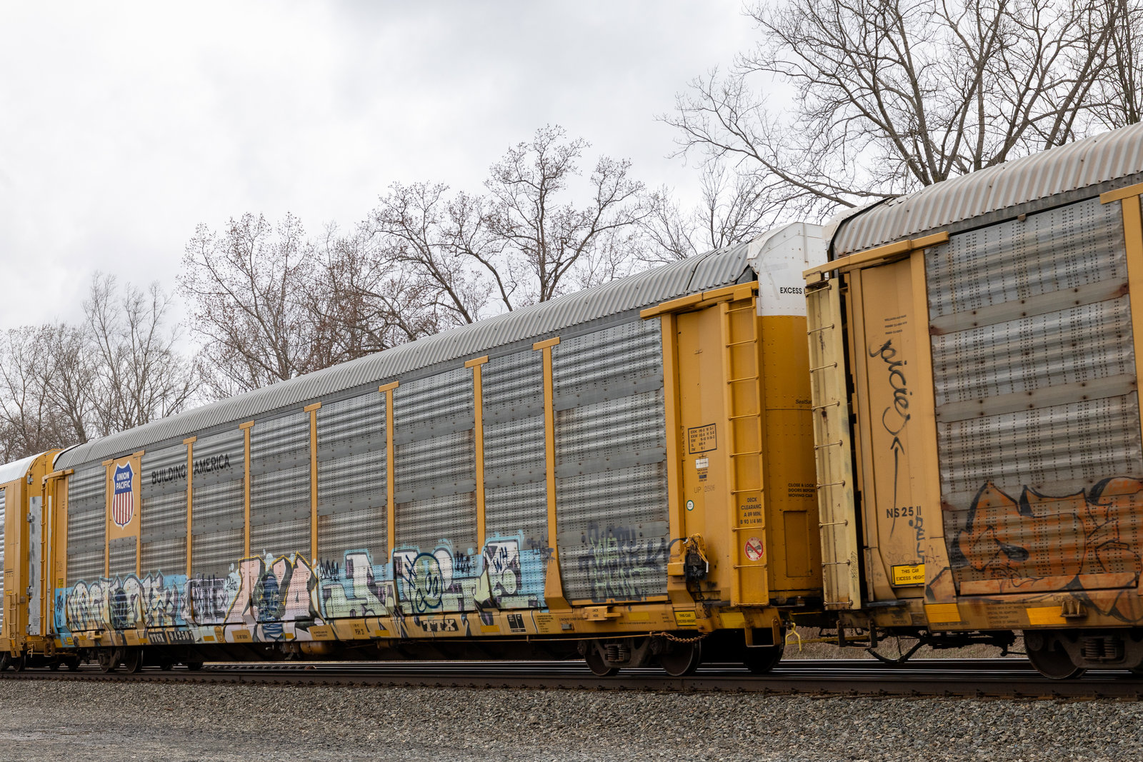 TTGX 942507