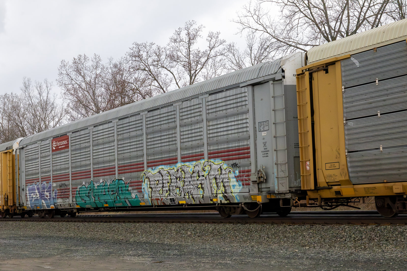 TTGX 953881