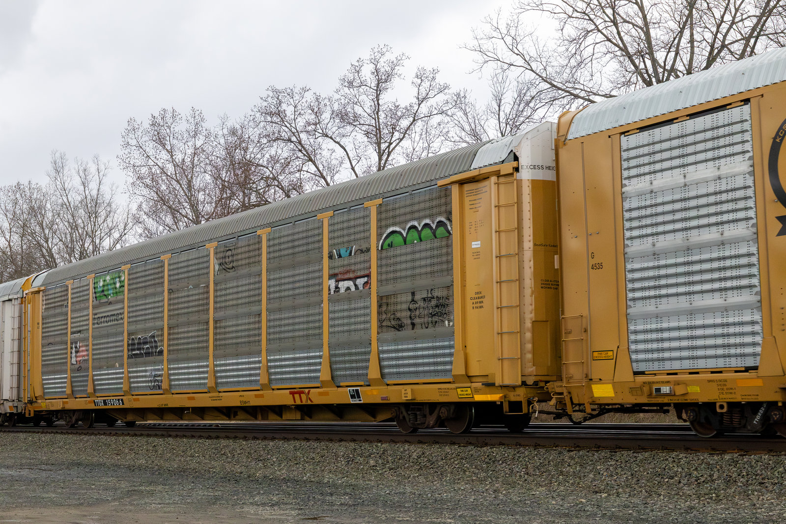 TTGX 159066