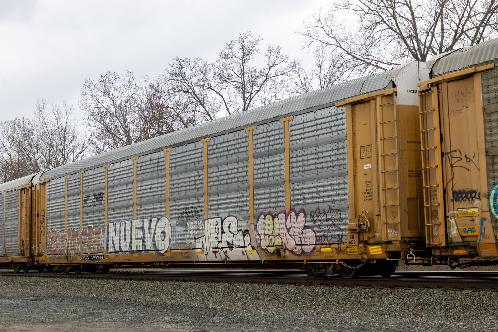 TTGX 706944