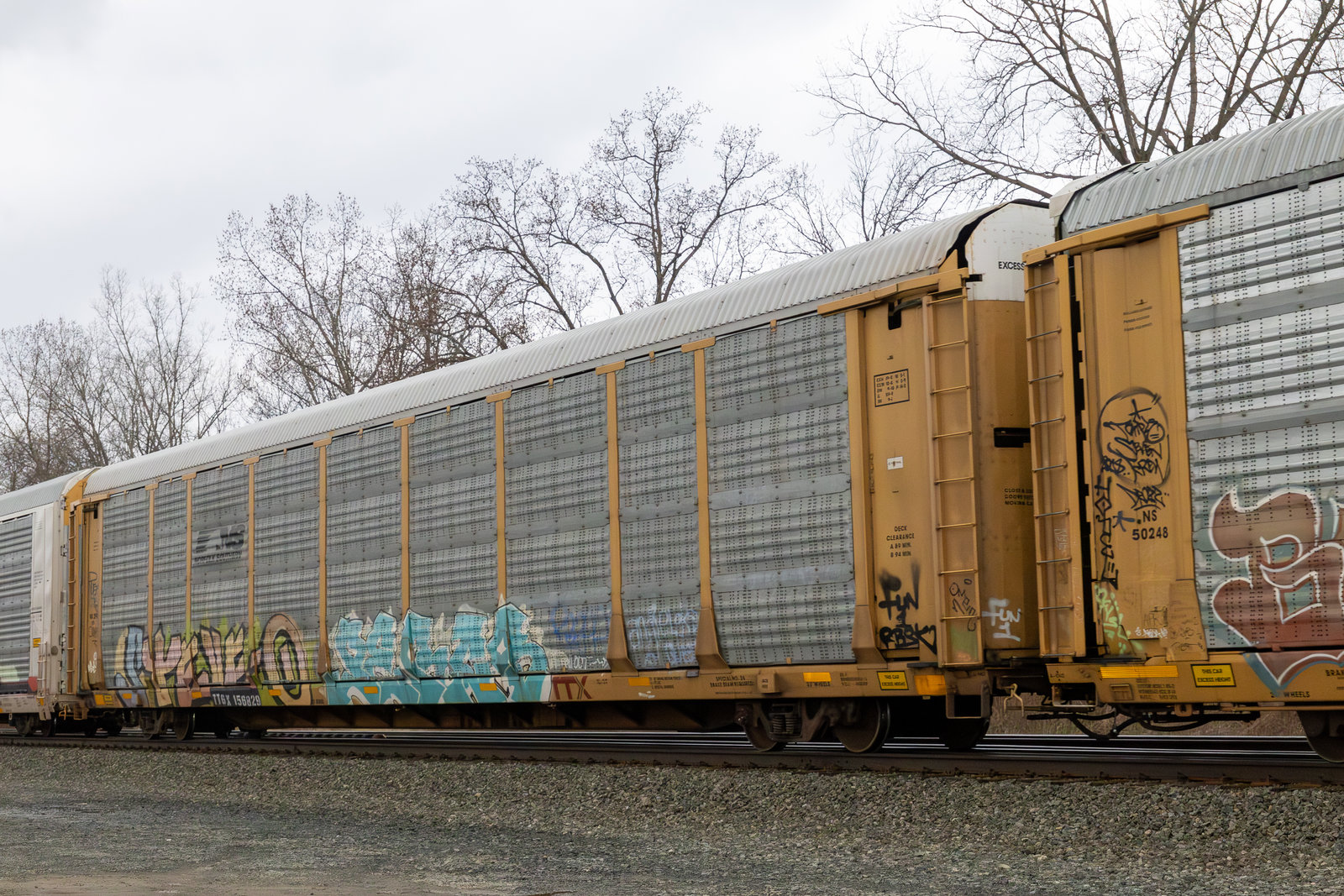 TTGX 156829