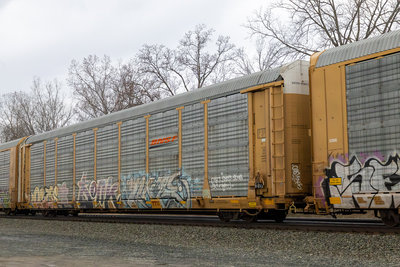 TTGX 704780