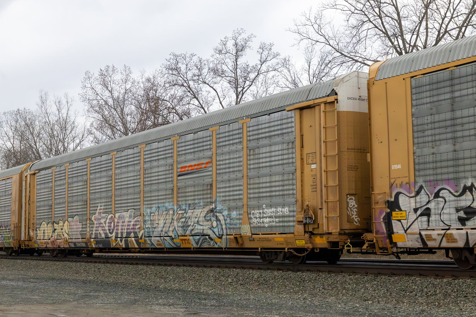TTGX 704780